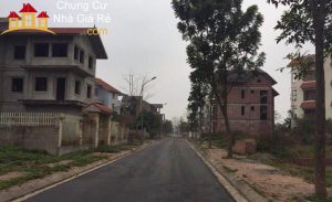 bán đất Cienco 5 Mê Linh